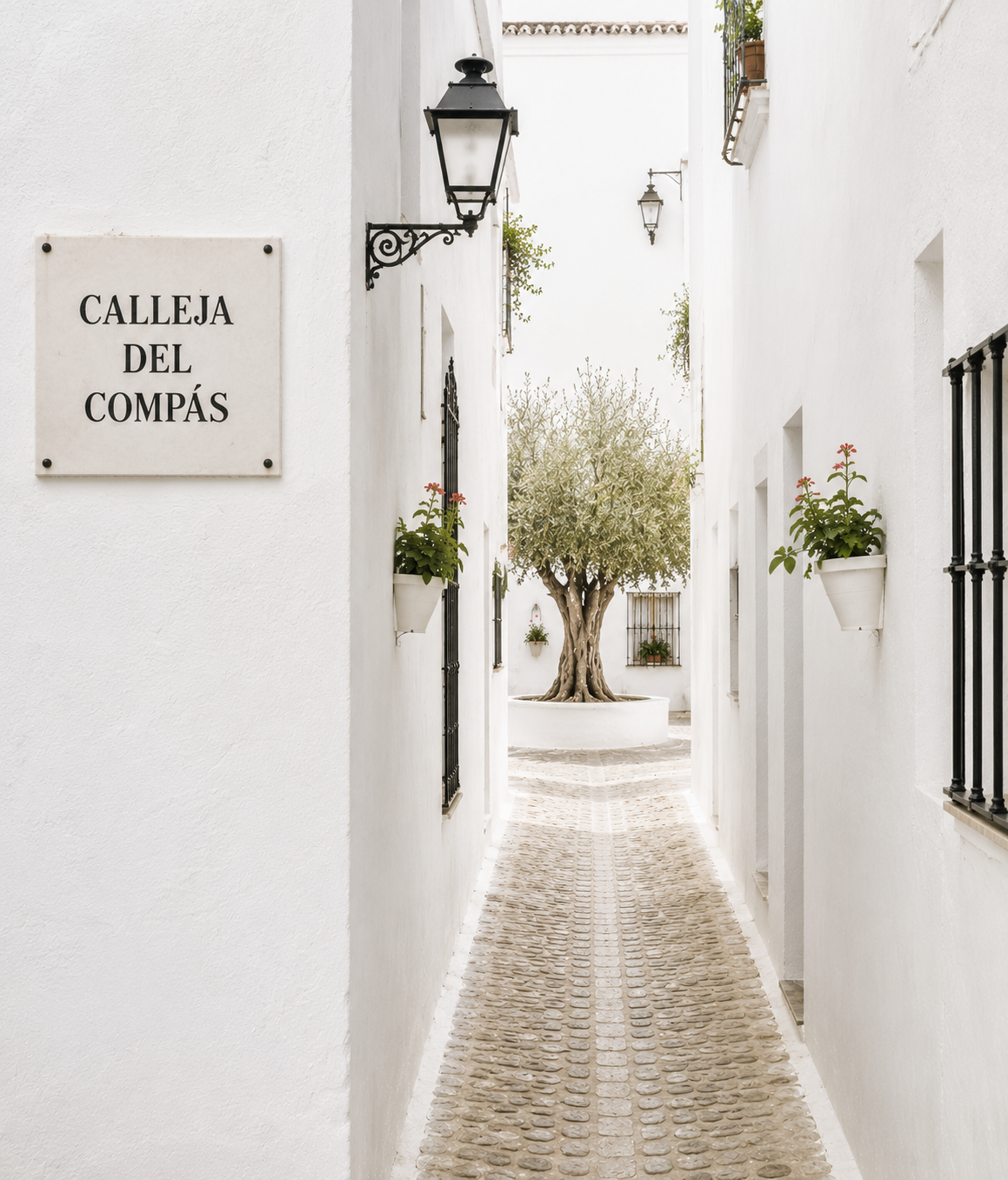 Estrecha calle andaluza de paredes encaladas con una placa de piedra que indica "Calleja del Compás", conduciendo hacia una pequeña plaza presidida por un olivo centenario.